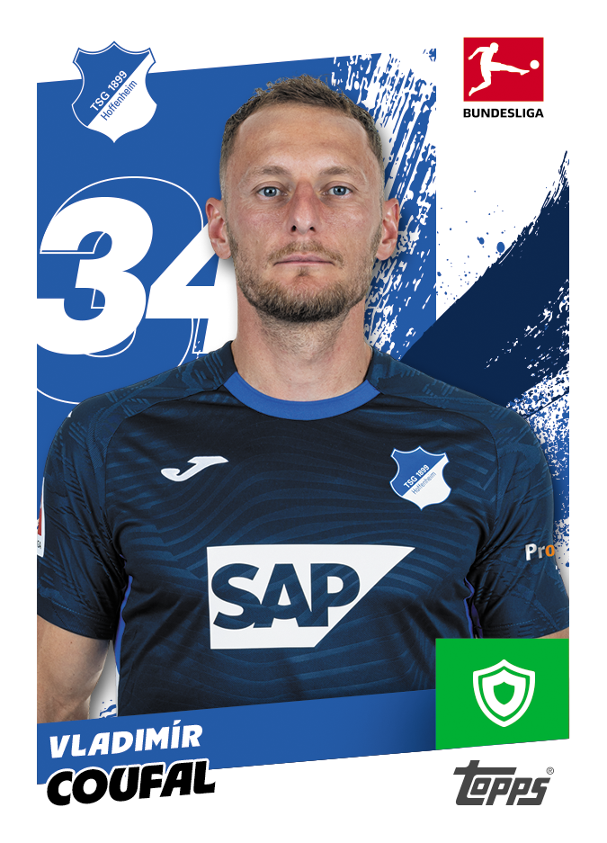 143 BS25 STICKER BASE - TSG Hoffenheim.png