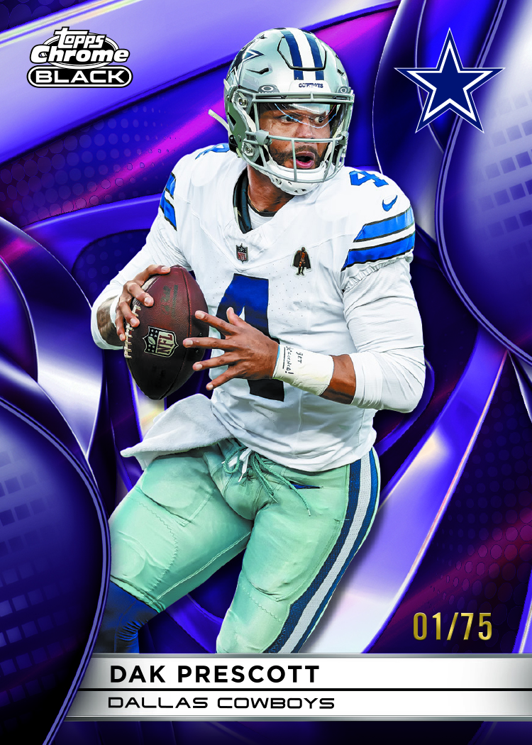 25CBFL_1030_FR_PurpleRefractor.jpg