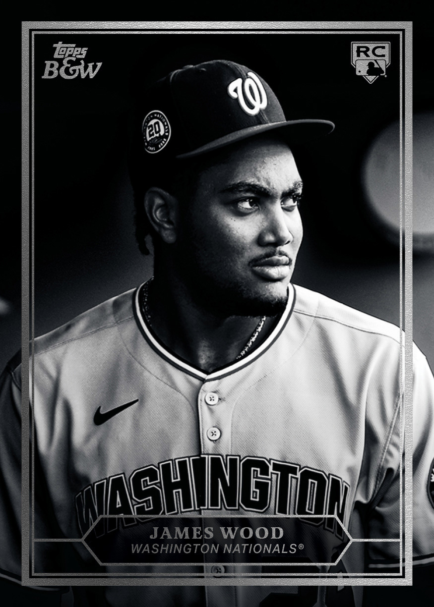 E25TBWB-PRIZEDPORTRAIT-WOOD.jpg