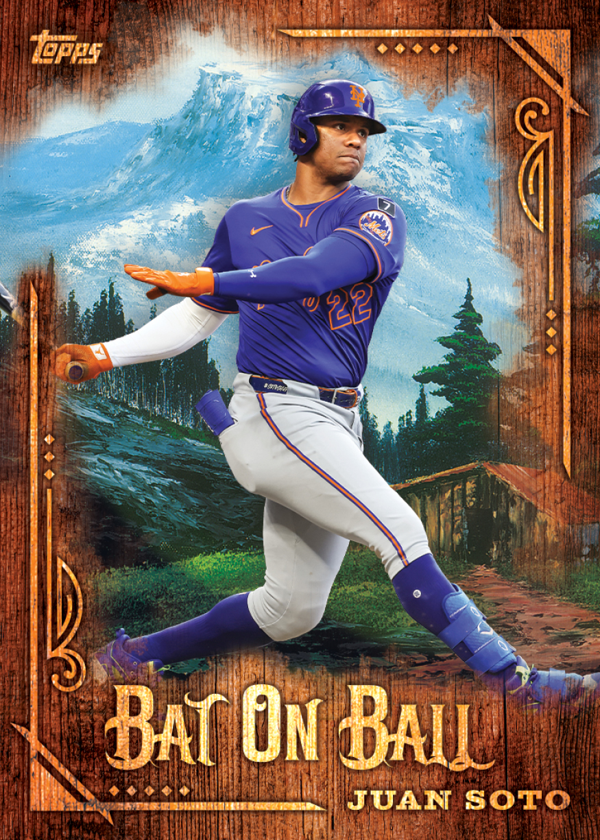 Bat On Ball Insert