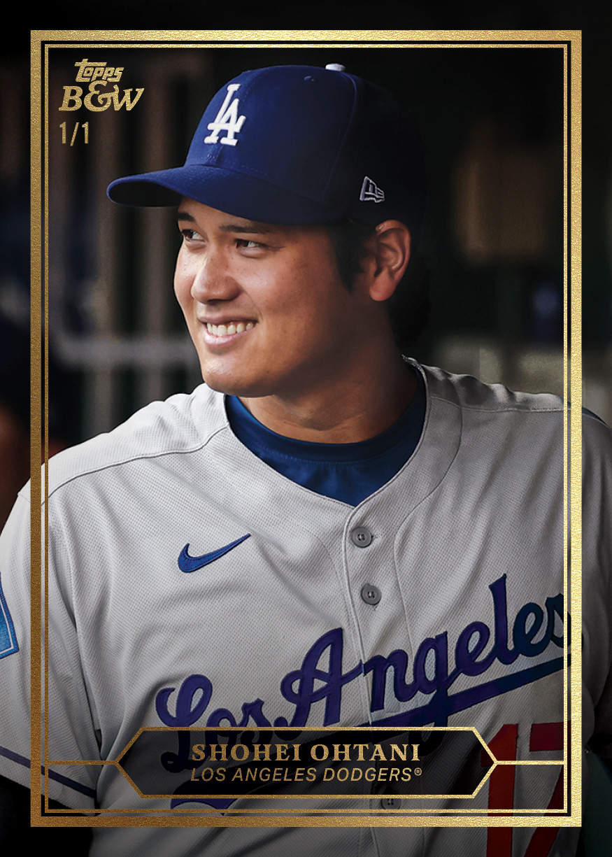 Prized Portrait Insert