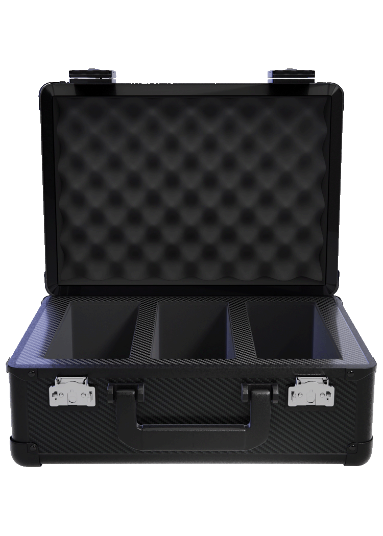 Zion Cases