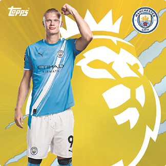 1x1 Gold Lion Haaland .png