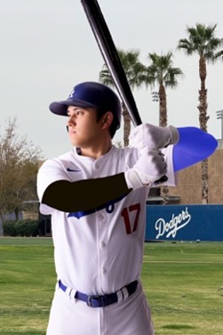 大谷似翔平氏