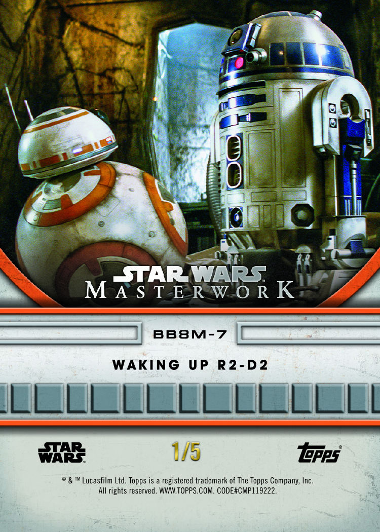 25SWMW_3607_BK.jpg
